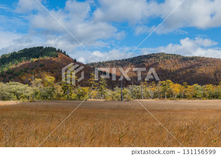 Burning autumn Oze colored with colored leaves 131156599
