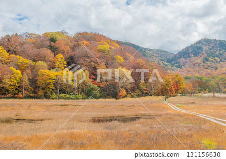 Burning autumn Oze colored with colored leaves 131156630