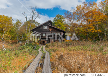 Burning autumn Oze colored with colored leaves 131156632