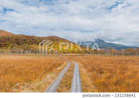 Burning autumn Oze colored with colored leaves 131156641