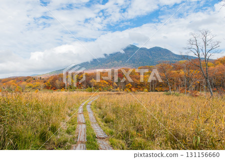 Burning autumn Oze colored with colored leaves 131156660