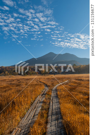 用紅葉著色的燃燒的秋天尾瀨 131156677