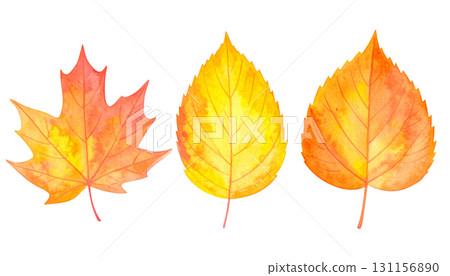 套下落的葉子 套下落的葉子 131156890