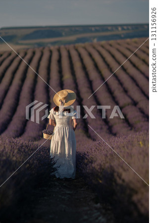 Lavender Fields Woman Dress: Summer harvest; woman in white dress walks through vast purple lavender fields, likely for photography or leisure. Lavender Fields Woman Dress: Summer harvest; woman in white dress walks through vast purple lavender fields, likely for photography or leisure. 131156926