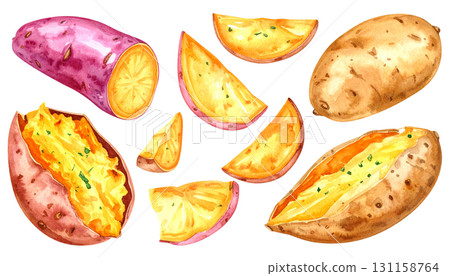 Sweet potato illustration set 131158764