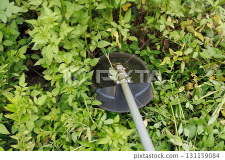 mowing image 131159084