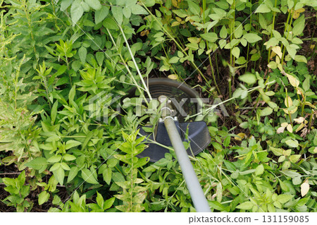 mowing image 131159085