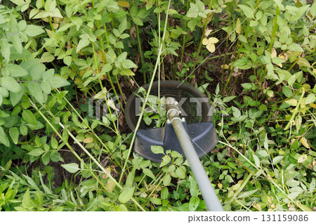 mowing image 131159086