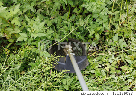 mowing image 131159088