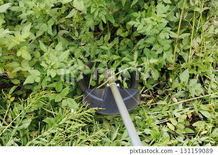 mowing image mowing image 131159089