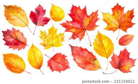 Colorful autumn leaves (watercolor illustration set) 131159812