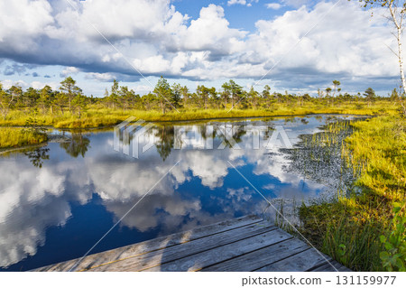 Pristine Bog Boardwalk over Mirror Like Wetland with Clouds Reflected. Kemeri Bog, Latvia 131159977