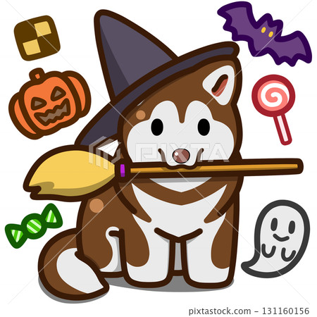 Red and white Alaskan Malamute in Halloween costume Red and white Alaskan Malamute in Halloween costume 131160156