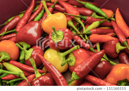 hot peppers pattern red and green assorted vegetables background 131160333