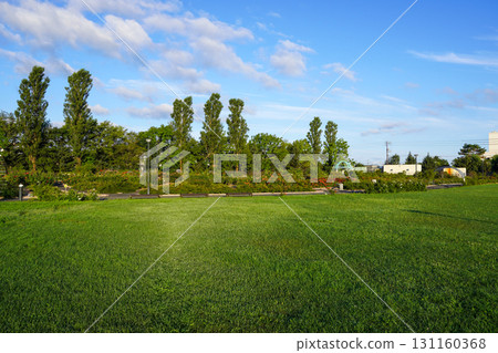 羽幌玫瑰園（北海道羽幌町） 131160368