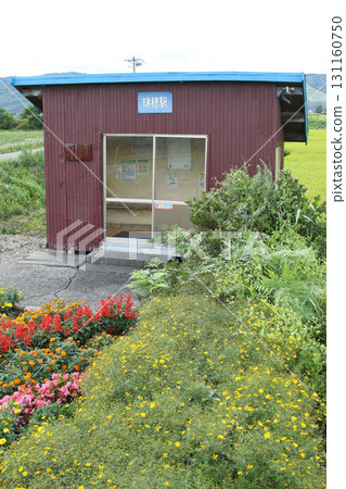 宗谷本線 瑞穗站 W45 開花站 131160750