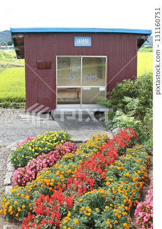 宗谷本線 瑞穗站 W45 開花站 131160751