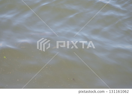 A school of fish swimming in a sea of floating garbage 131161062