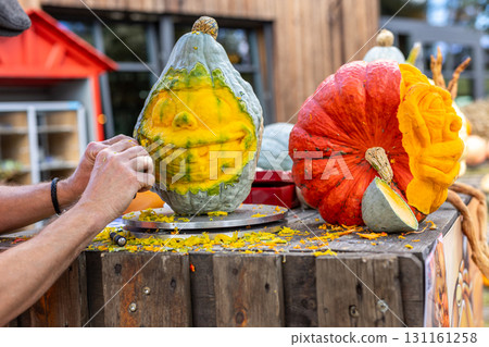Hands of artist carve a large pumpkin into a comical face with exaggerated smile during Halloween preparation. Bright shavings and tools on the table show artistic festive process Hands of artist carve a large pumpkin into a comical face with exaggerated smile during Halloween preparation. Bright shavings and tools on the table show artistic festive process 131161258