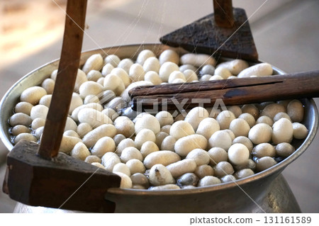 Boiling silkworm cocoons in a pot to separate them into fibers to produce silk thread. Boiling silkworm cocoons in a pot to separate them into fibers to produce silk thread. 131161589