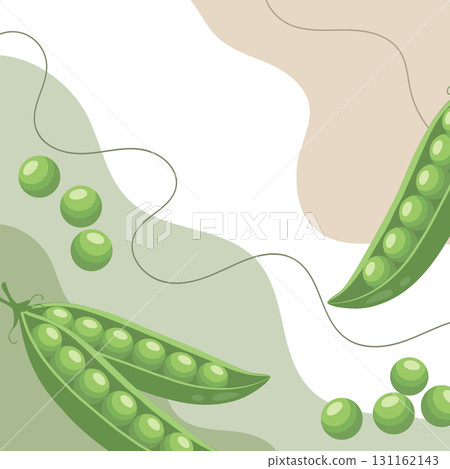 Fresh green peas background. A composition of green peas with organic shapes and leaves on an abstract background. Card, banner, poster. Fresh green peas background. A composition of green peas with organic shapes and leaves on an abstract background. Card, banner, poster. 131162143