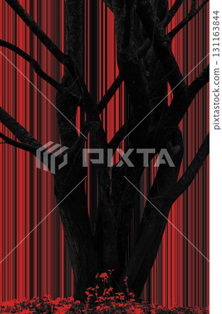 Black tree silhouette in red forest background 131163844