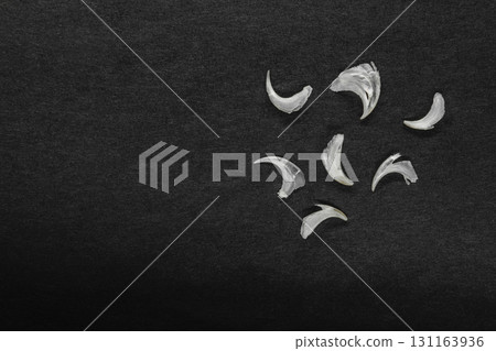 Several Cat Nails Placed on Black Background Surface with Free Space 131163936