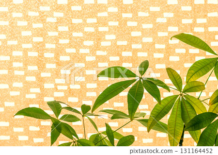 Tropical leaves in curtains with pattern background 131164452