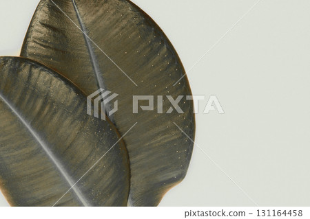Two Sharp View and Bronze Color Ficus Leaves on a Beige Background Surface with Free Space Two Sharp View and Bronze Color Ficus Leaves on a Beige Background Surface with Free Space 131164458