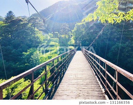 A bridge connecting greenery and light A bridge connecting greenery and light 131166356
