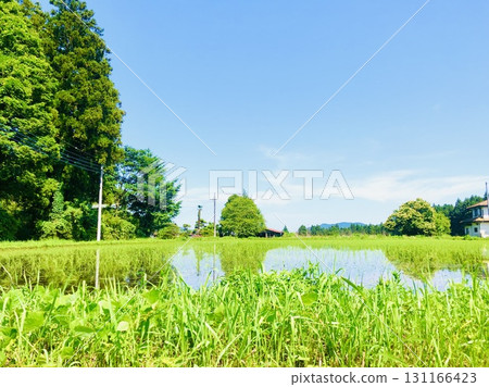 鄉村時光 131166423