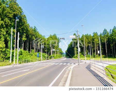 Blue and green border 131166474