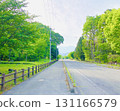 Early Summer Road Journey 131166579