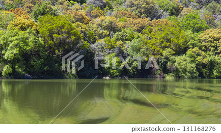Arribes del Duero Natural Park, Spain 131168276