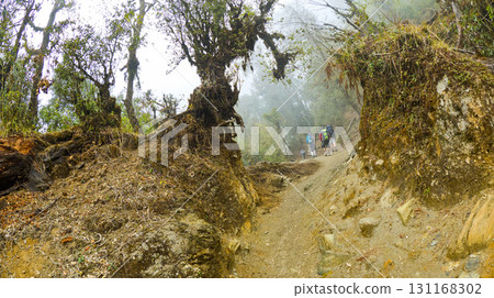 Hikkers on Route, Trek to Annapurna Base Camp, Nepal Hikkers on Route, Trek to Annapurna Base Camp, Nepal 131168302