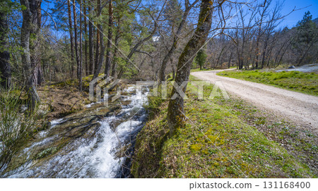 Gardens and Forest of the Royal Palace of La Granja de San Ildefonso, Spain Gardens and Forest of the Royal Palace of La Granja de San Ildefonso, Spain 131168400