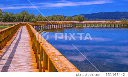 Tablas de Daimiel National Park, Spain Tablas de Daimiel National Park, Spain 131168442