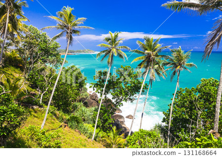 wild beautiful beaches of Sri Lanka wild beautiful beaches of Sri Lanka 131168664