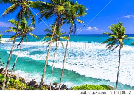 wild beautiful beaches of Sri Lanka 131168667