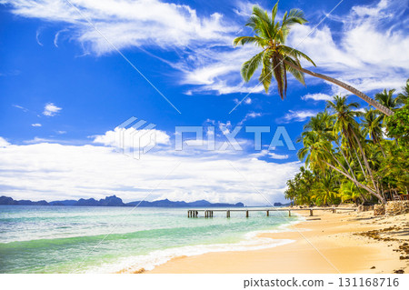 tropical beach scenery, Palawan (Philippines) 131168716