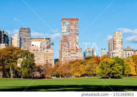 Autumn in Central Park - New York City 131168903