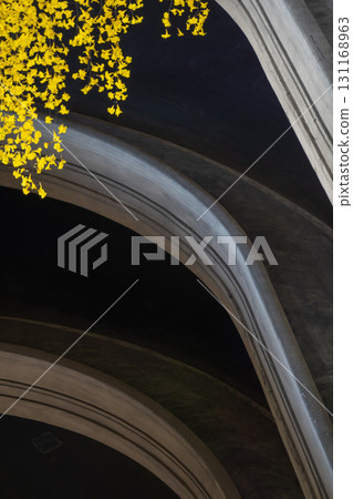 Vibrant yellow flowers hang over sweeping arches against a dark architectural backdrop 131168963