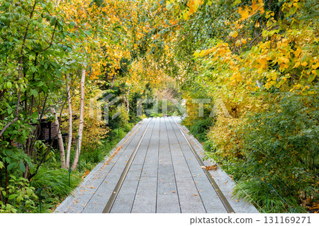 Autumn Foliage at The High Line in NYC 131169271