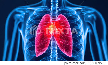 Anatomical illustration of human lungs highlighting respiratory system. This detailed image showcases structure and function of lungs, emphasizing their importance in health 131169506