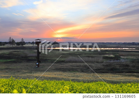 Sunrise / Watarase Retarding Basin 131169605