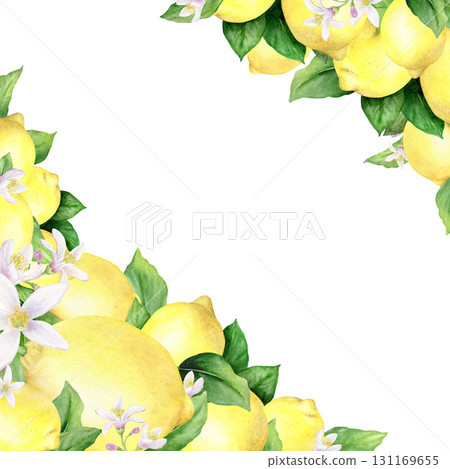 Watercolor painted yellow lemons green leaves and lemon flowers isolated on a white background.Frame of juicy tropical fruits. Corner page template. Watercolor painted yellow lemons green leaves and lemon flowers isolated on a white background.Frame of juicy tropical fruits. Corner page template. 131169655