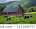 A red barn with solar panels on its roof is situated in a green pasture where a herd of black and white cows graze, with lush, forested hills in the background. 131169737