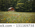 A small wooden hut stands in the middle of a vibrant meadow filled with colorful wildflowers, surrounded by a dense green forest  131169738