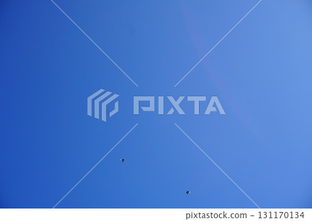 Clear Blue Sky with Two Birds Clear Blue Sky with Two Birds 131170134