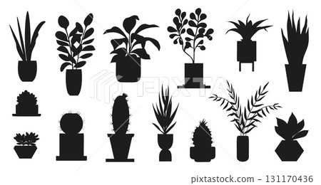 Several black silhouettes of houseplants of different species growing in pots of different shapes, for office or home decoration, creating a modern and stylish look 131170436